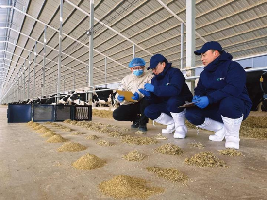 蒙牛发布2025年财报:进化强韧性,蓄力迎增长